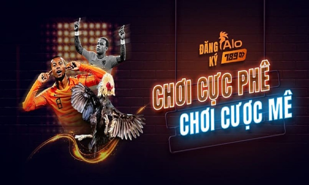 Giới thiệu về nhà tài trợ dự án Alo789